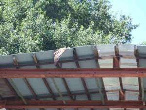 倉庫の屋根で羽根を干しています